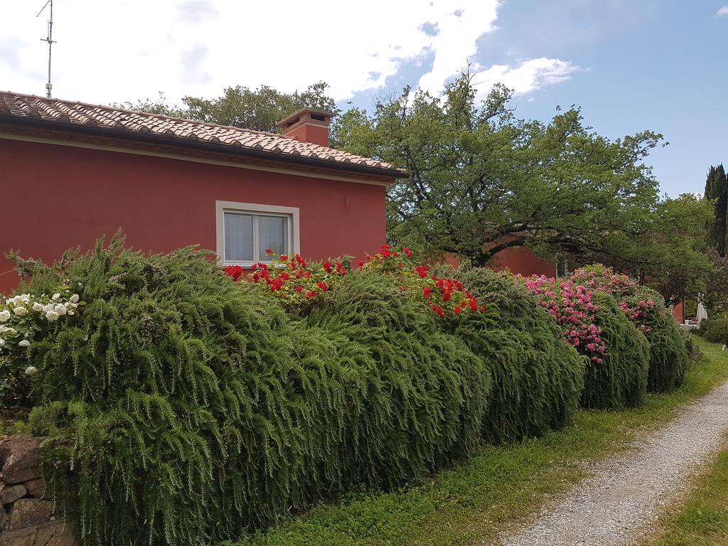 Tenuta Col Di Sasso Scarlino Bagian luar foto