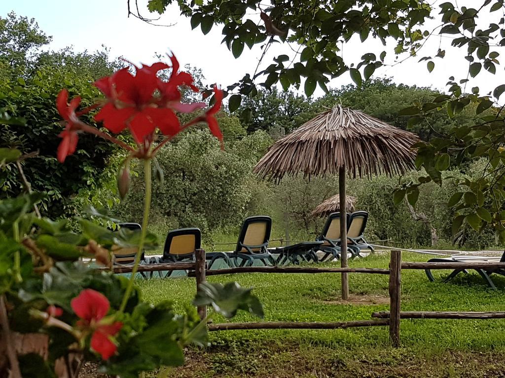 Tenuta Col Di Sasso Scarlino Bagian luar foto