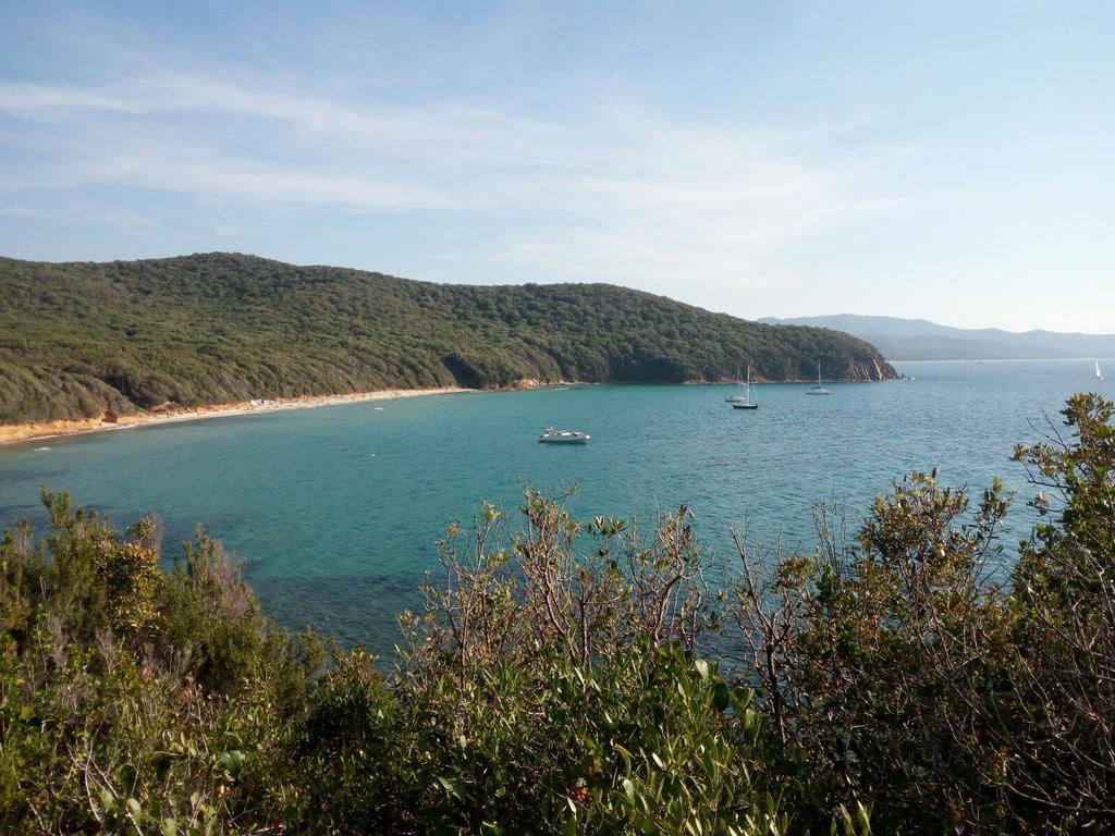 Tenuta Col Di Sasso Scarlino Bagian luar foto