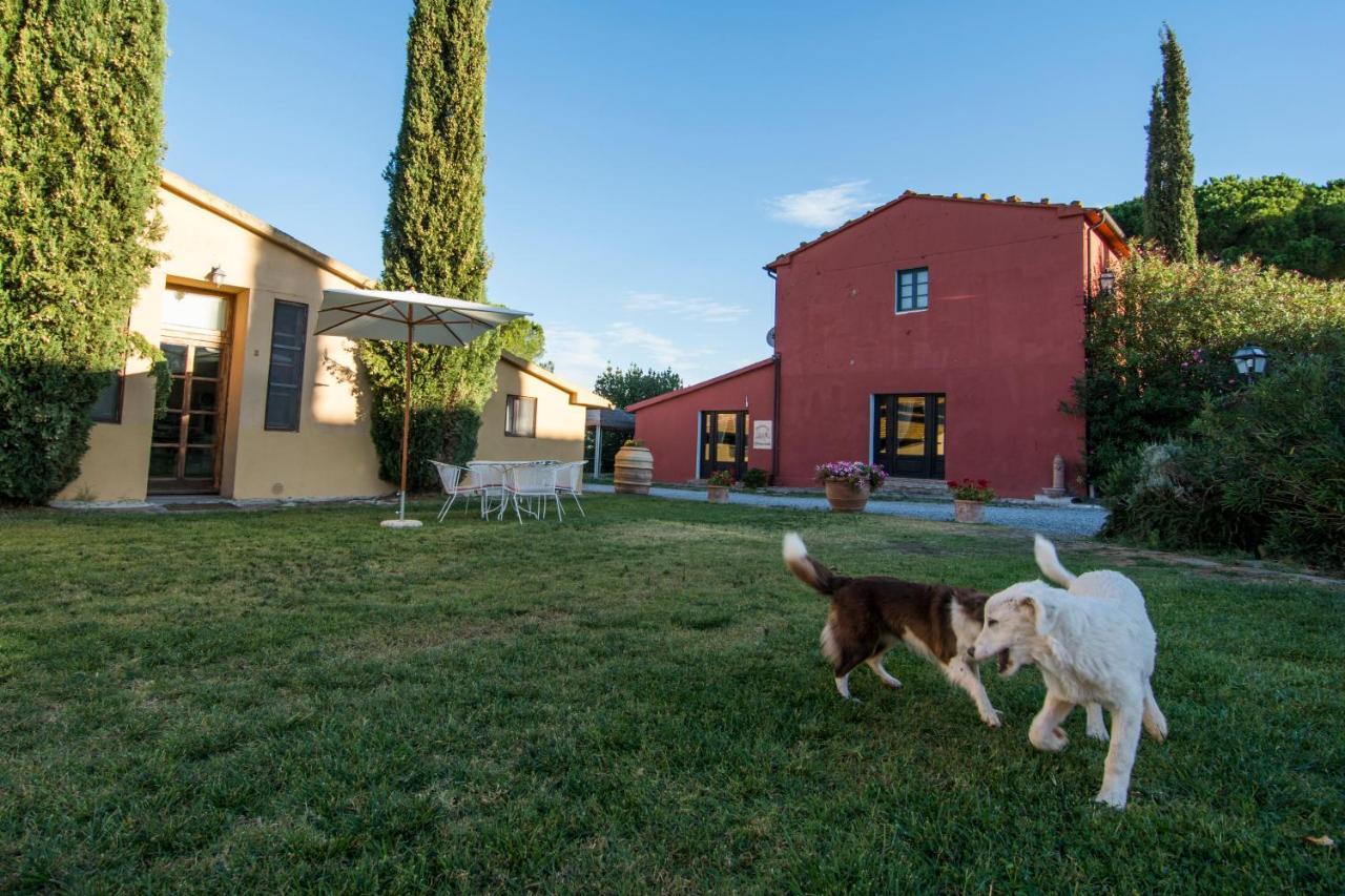 Tenuta Col Di Sasso Scarlino Bagian luar foto