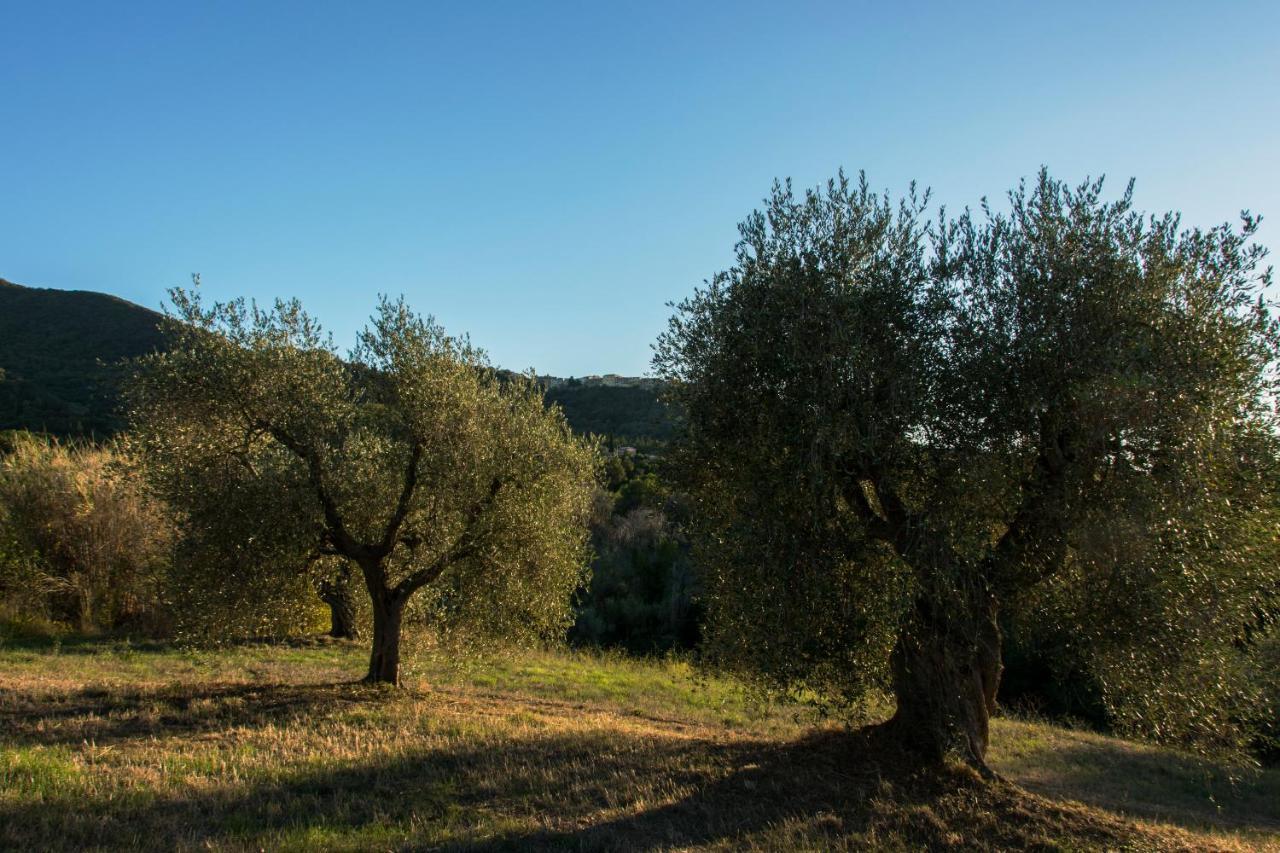 Tenuta Col Di Sasso Scarlino Bagian luar foto