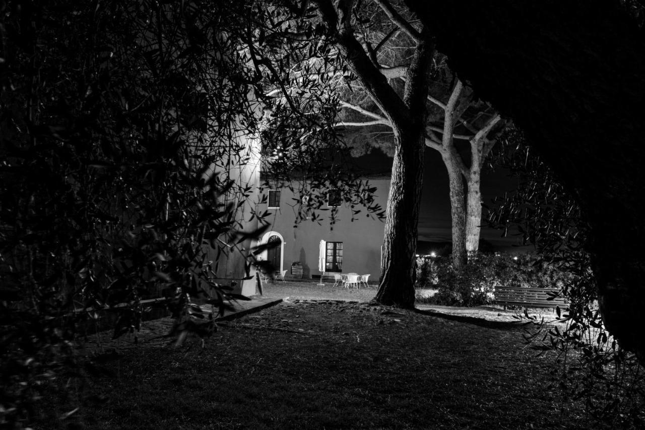 Tenuta Col Di Sasso Scarlino Bagian luar foto