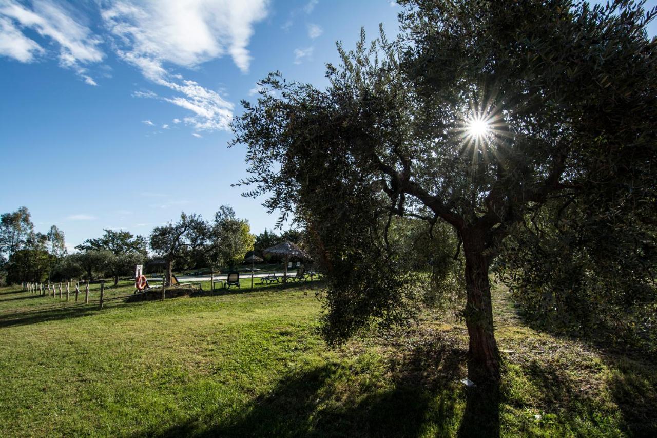 Tenuta Col Di Sasso Scarlino Bagian luar foto